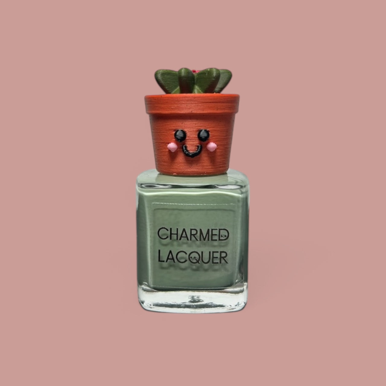 Gymno Cactus