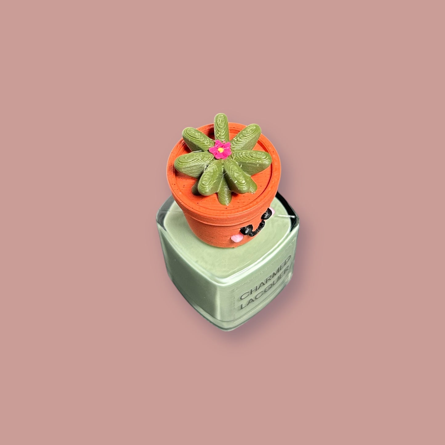 Gymno Cactus