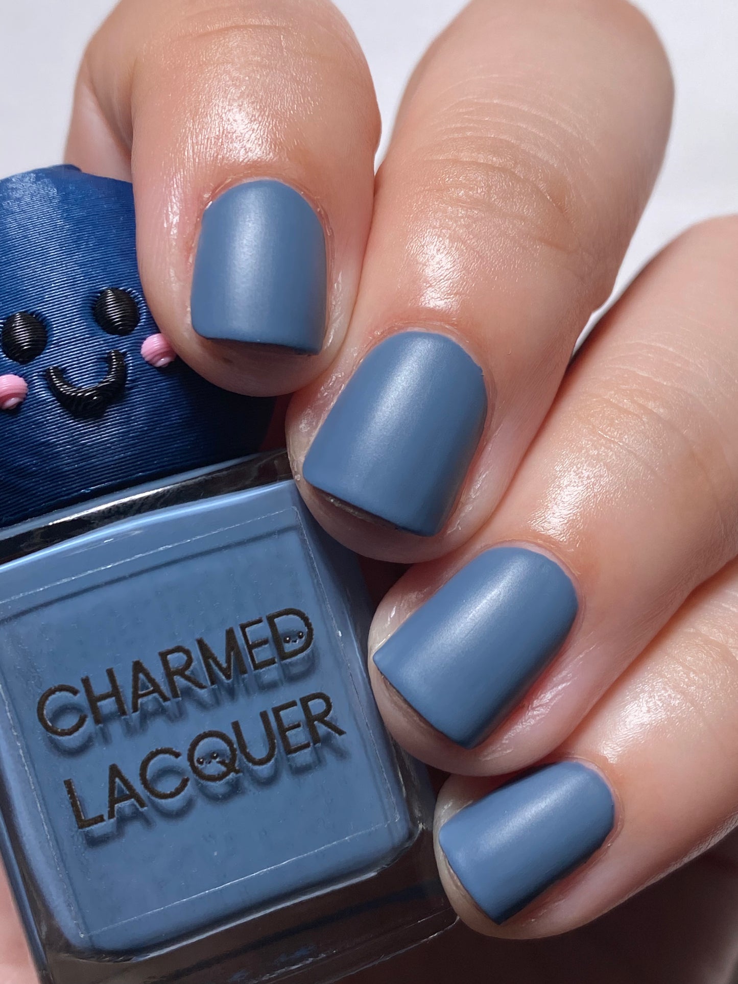 Professional Shirt Stainer